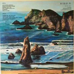 Famous Rock Shop Vinyl Records Charles Bradley - Changes Vinyl LP -Famous Rock Shop Charles Bradley Famous Rock Shop Newcastle1 800x