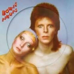 Famous Rock Shop Vinyl Records David Bowie Pin Up Picture Vinyl LP Record Store Day -Famous Rock Shop David Bowie Pin Up Picture Vinyl LP Record Store Day Famous Rock Shop Newcastle NSW Australia 800x
