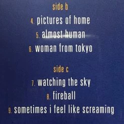 Famous Rock Shop Vinyl Records Deep Purple ‎– Total Abandon - Australia '99 Vinyl LP -Famous Rock Shop Deep Purple Famous Rock Shop Newcastle 800x