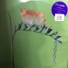 Famous Rock Shop Vinyl Records Flume Skin Companion EP L Vinyl -Famous Rock Shop Flume Green Famous Rock Shop Newcastle1 800x