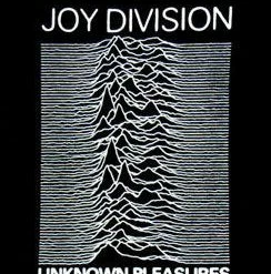 Famous Rock Shop Joy Division Unknown Pleasures Unisex Tee -Famous Rock Shop JoyDivisionUnknownPleasuresUnisexTee. 800x