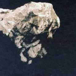 Famous Rock Shop Vinyl Records Pixies - Death To The Pixies 10" Vinyl Box Set Vinyl