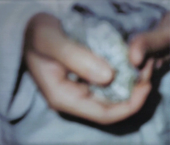 Famous Rock Shop Vinyl Records Pixies - Death To The Pixies 10" Vinyl Box Set Vinyl - Image 2