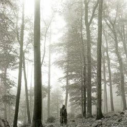 UMA Taylor Swift Folklore In The Trees Edition Vinyl 2LP