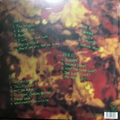 Famous Rock Shop Vinyl Records Dinosaur Jr Green Mind Deluxe Expanded Edition Limited 2LP 5 Famous Rock Shop Vinyl Records Dinosaur Jr Green Mind Deluxe Expanded Edition Limited 2LP -Famous Rock Shop image 52f7f2f3 724f 48ee 9850 2aa2dff8192f 800x