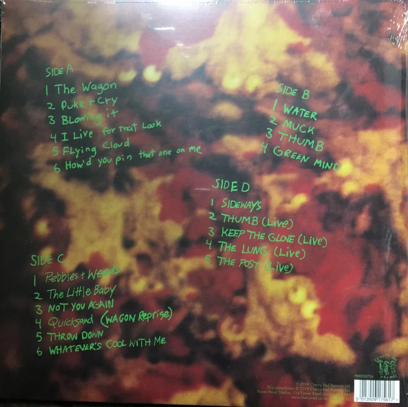 Famous Rock Shop Vinyl Records Dinosaur Jr Green Mind Deluxe Expanded Edition Limited 2LP 4 Famous Rock Shop Vinyl Records Dinosaur Jr Green Mind Deluxe Expanded Edition Limited 2LP - Image 2