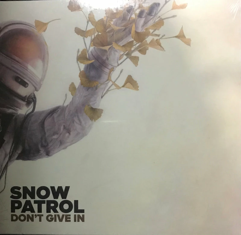 Famous Rock Shop Vinyl Records Snow Patrol Don't Give In 10inch 3 Famous Rock Shop Vinyl Records Snow Patrol Don't Give In 10inch